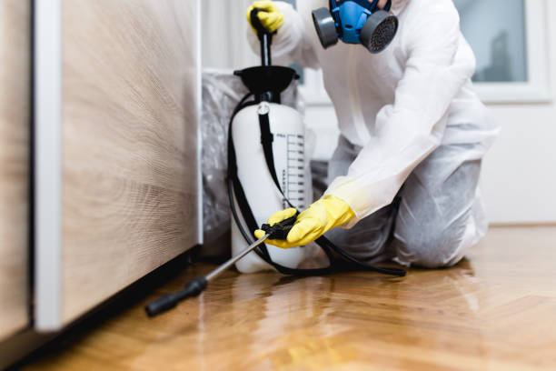 Professional Pest Control in Covington, OH
