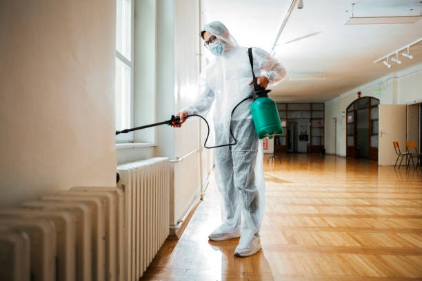 Best Flea Control Services  in Covington, OH