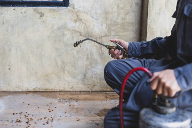 Best Pest Prevention Services  in Covington, OH